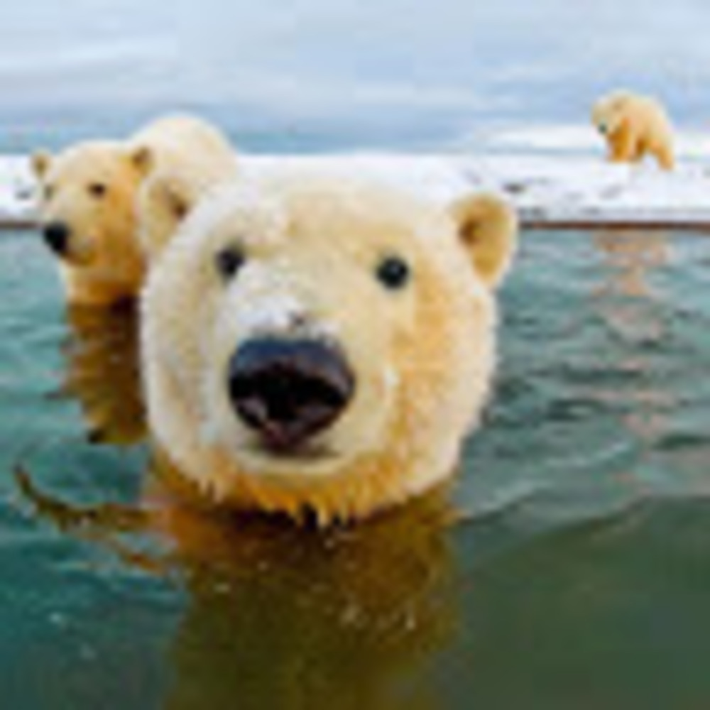 Meet your Posher, Mary